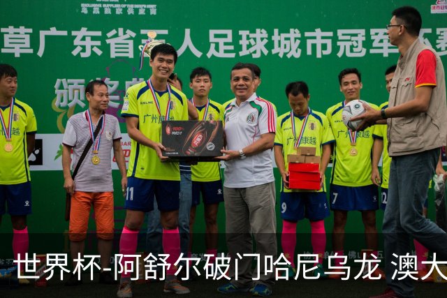 世界杯-阿舒尔破门哈尼乌龙 澳大利亚1-1埃及进点球