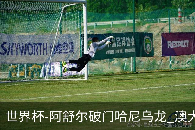 世界杯-阿舒尔破门哈尼乌龙 澳大利亚1-1埃及进点球