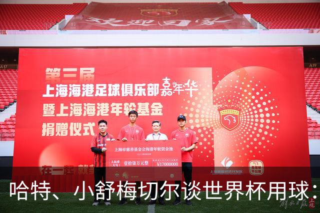 哈特、小舒梅切尔谈世界杯用球：这球肯定有问题，远射太多了